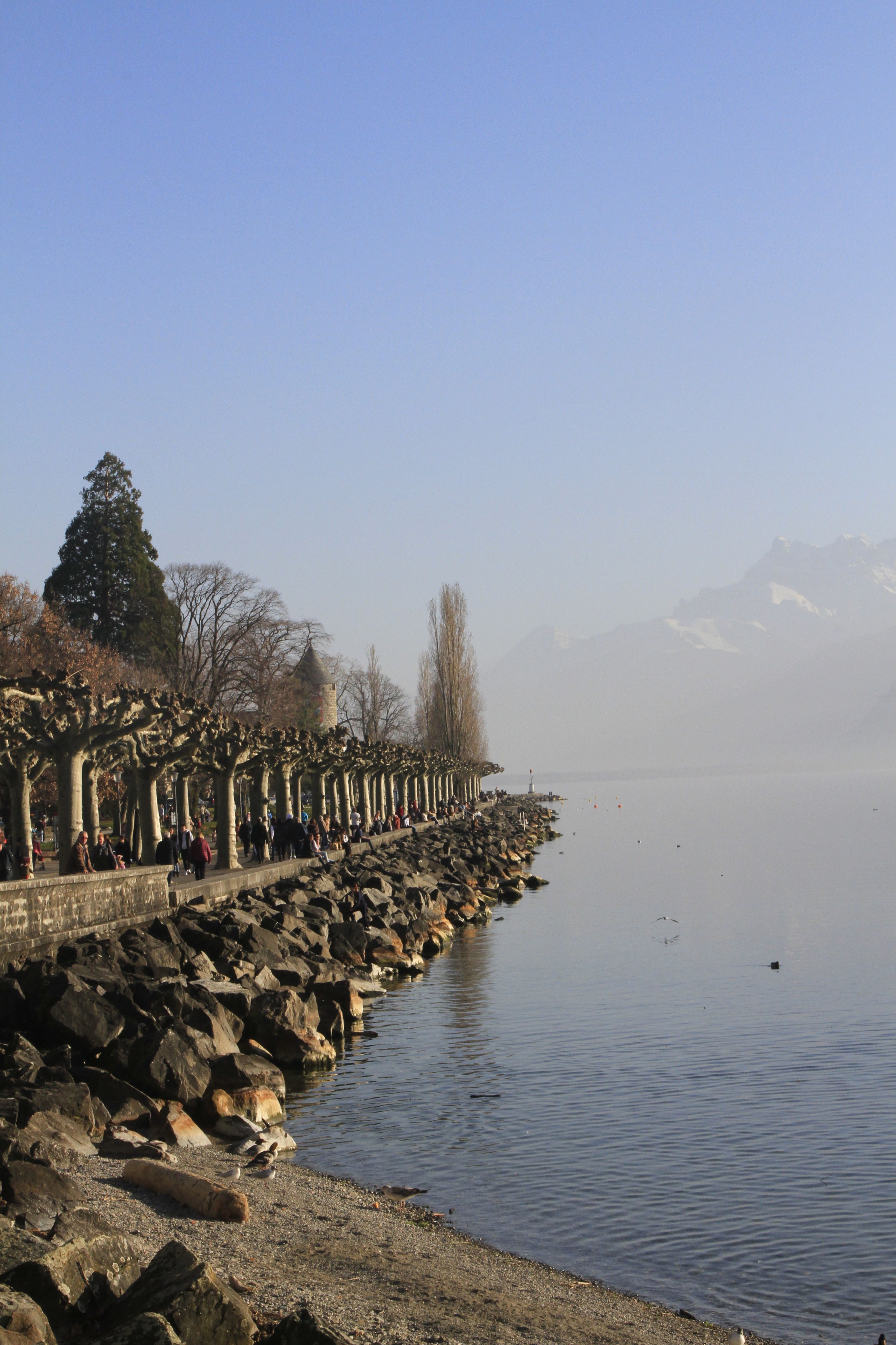 Le quai au bord du lac dans la brume du matin