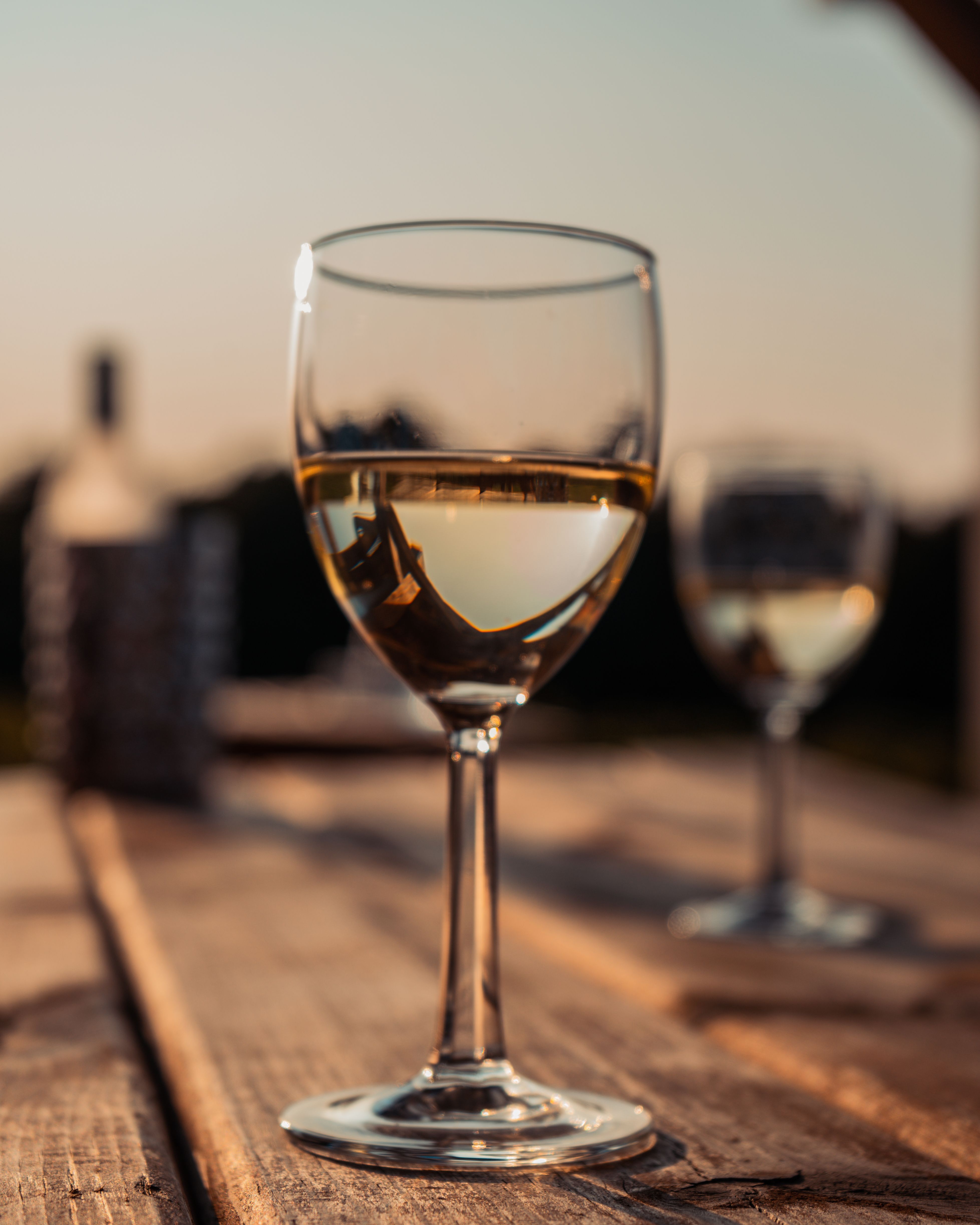 Un verre de vin blanc au soleil du soir